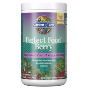 Alternative view of Garden Of Life Perfect Food Berry 240g
